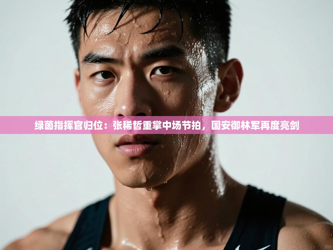 绿茵指挥官归位：张稀哲重掌中场节拍，国安御林军再度亮剑  第1张