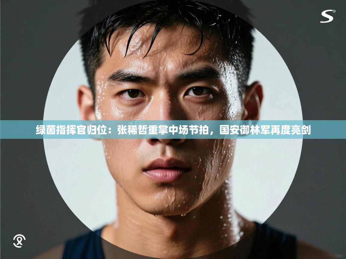 绿茵指挥官归位：张稀哲重掌中场节拍，国安御林军再度亮剑  第2张