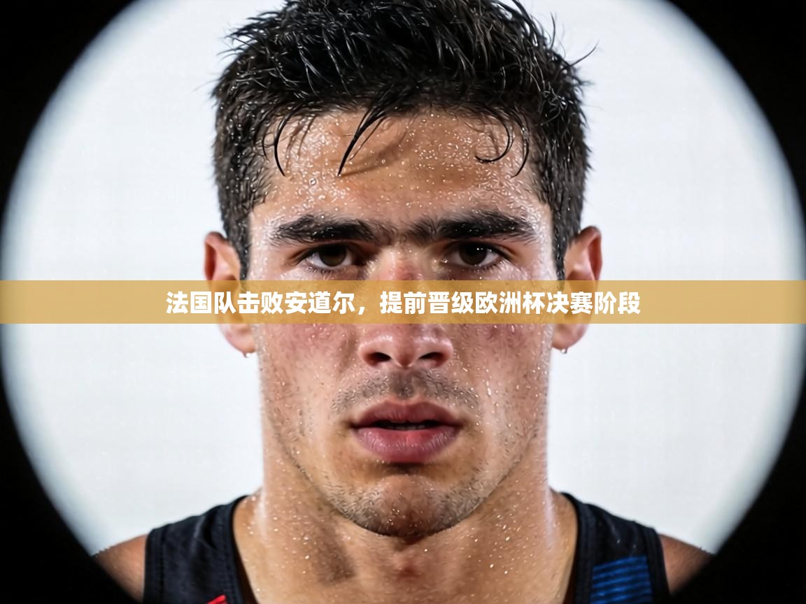 法国队击败安道尔,提前晋级欧洲杯决赛阶段 第2张